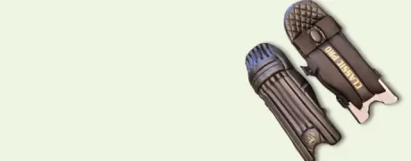Batting-Pads-bg